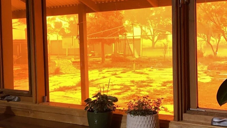 The backyard of a home with orange sky