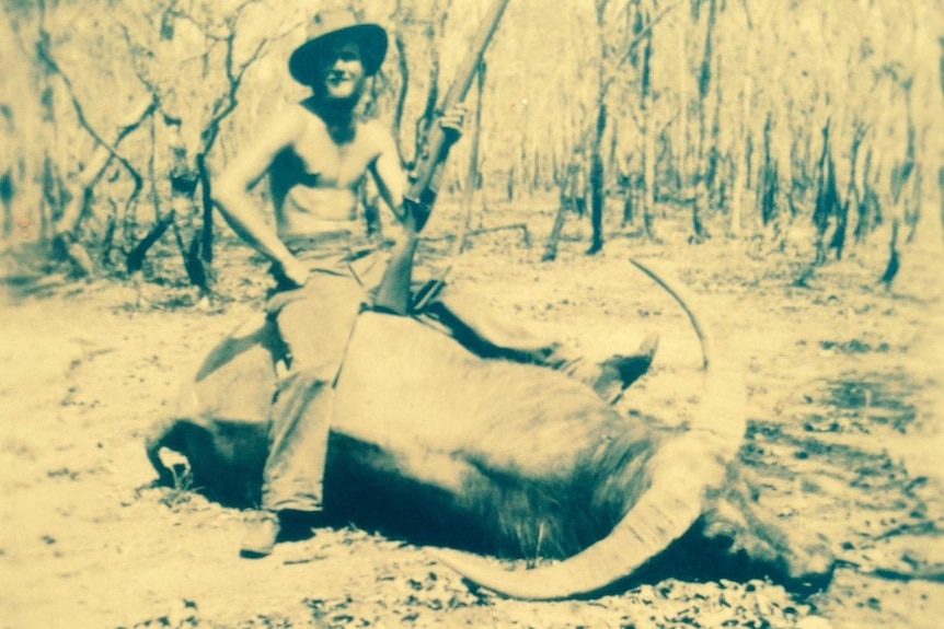 A black and white photo of a man with a shotgun astride a dead buffalo.
