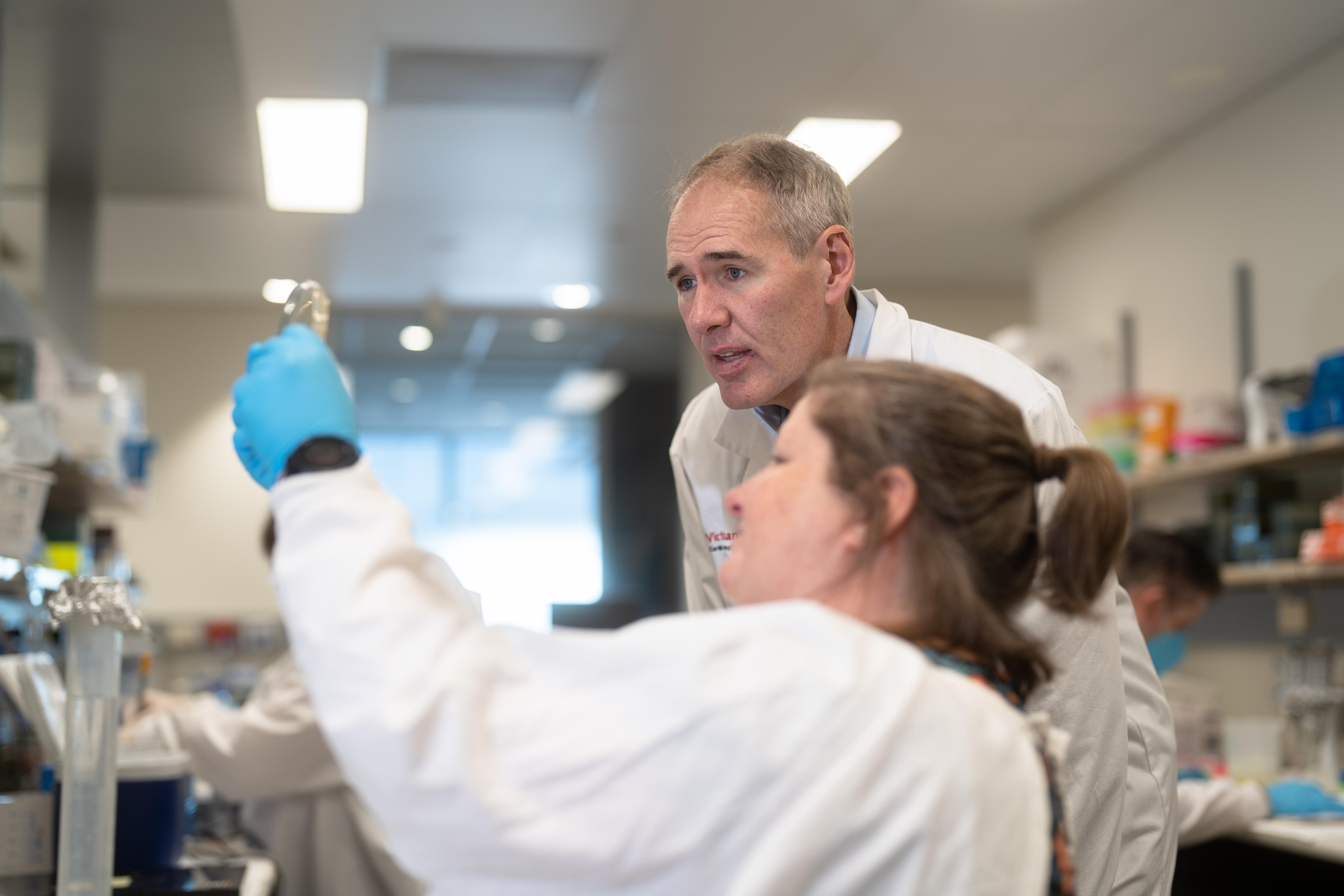 Victor Chang Cardiac Research Centre Director Professor Jason Kovacic wearing a white coat in a lab, looking at a test tube