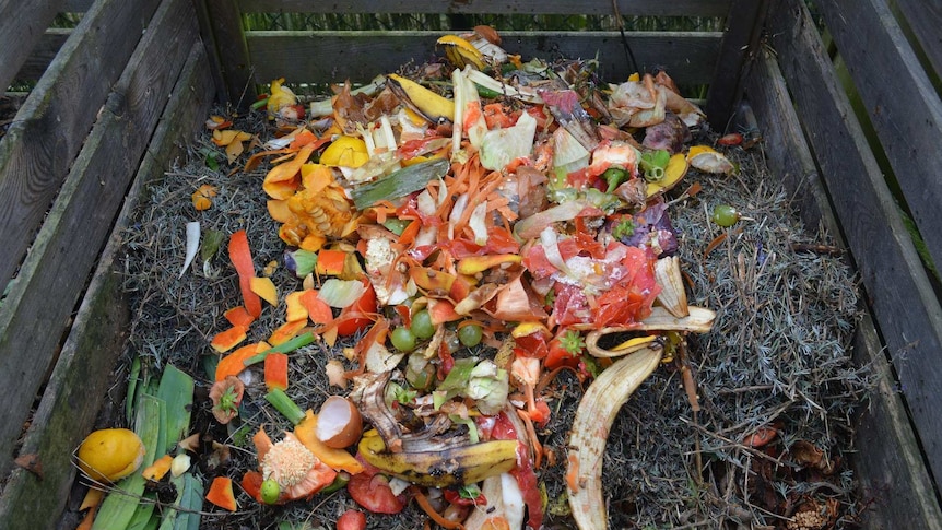 Fruit, veggie scraps and egg shells heaped in a timber compost.