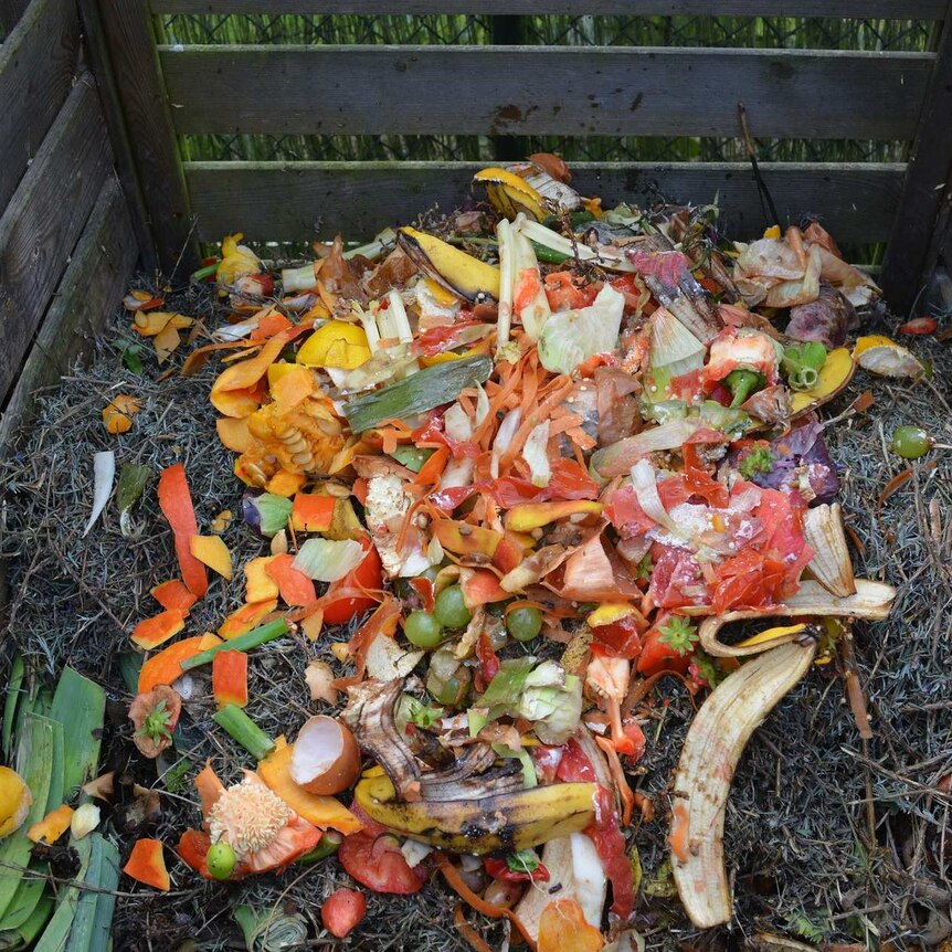 Fruit and vegetable scraps on top of a pile of green waste in an wooden compost pile.