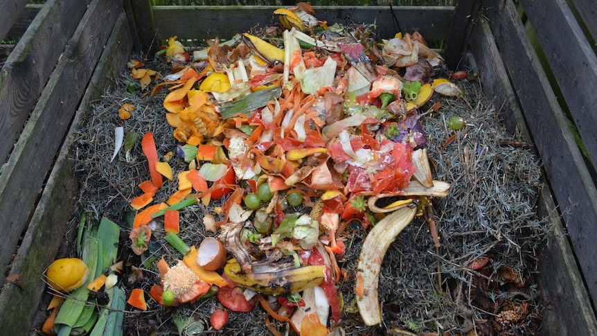 Fruit and vegetable scraps on top of a pile of green waste in an wooden compost pile.