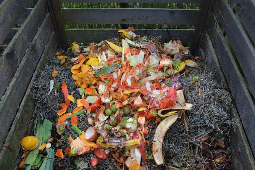 Fruit, veggie scraps and egg shells heaped in a timber compost.