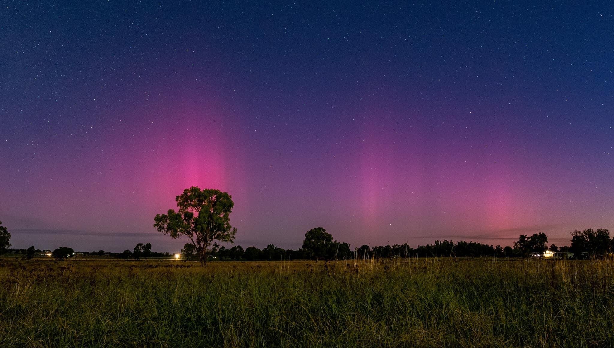 A paddock with long grass and trees in front of the aurora in the night sky.