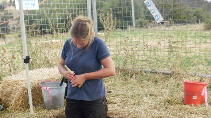 Archaeologists have been removing sediment from trenches near the roadworks.