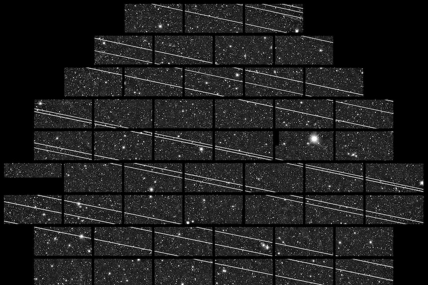 Astronomers monitoring capture Starlink satellites passing overhead