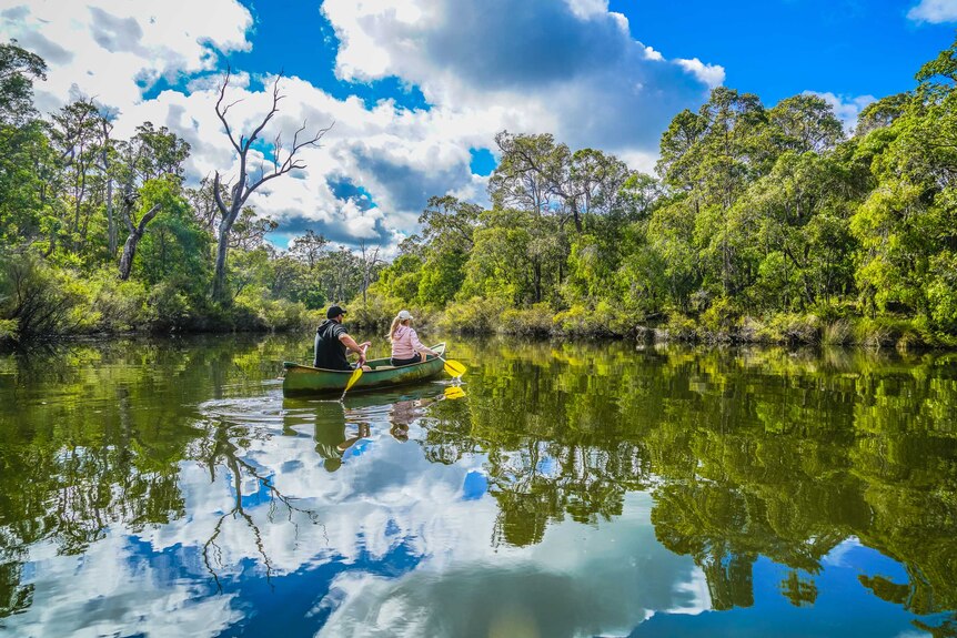 A man and a woman in a canoe in a river, green bush and vast open blue sky with clouds