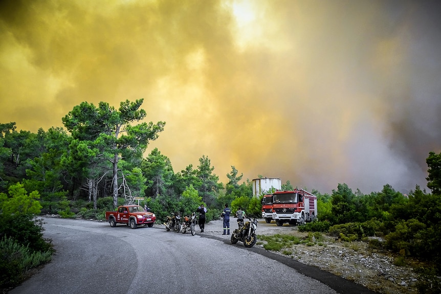 Пожарные стоят у обочины дороги с желтым дымным небом позади них