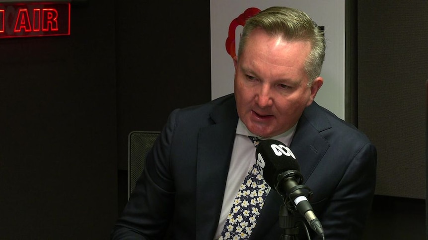 Chris Bowen rules out banning gas in transition to renewable energy