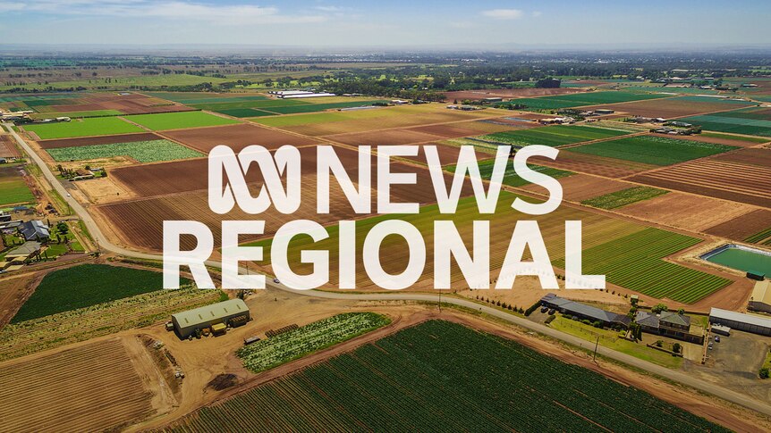 An aerial view of vast agricultural fields with various shades with the words ABC News in foreground.