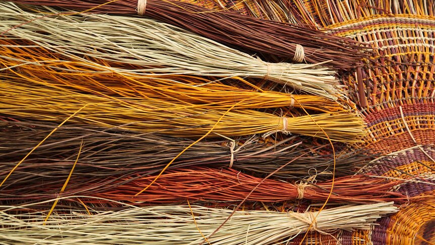 An aerial shot of bunches of pandanus leaves that have been dyed and bundled for weaving.