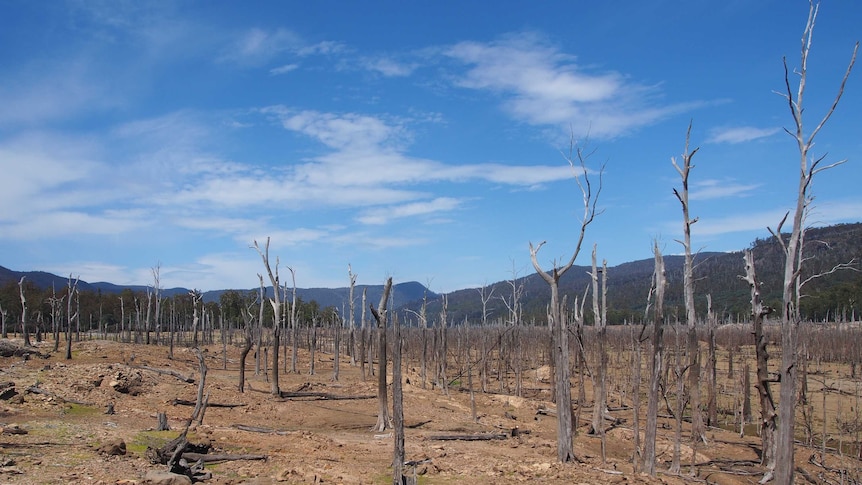 Lake Rowallan shortly after it was drained