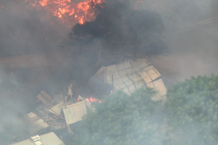 A bushfire burning close to a tree and building.