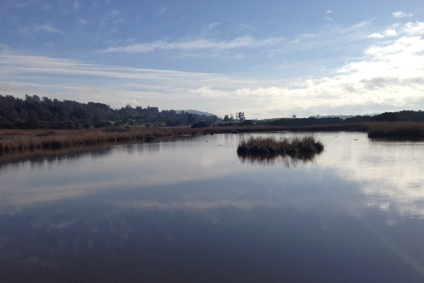 The Tamar Island Wetlands.