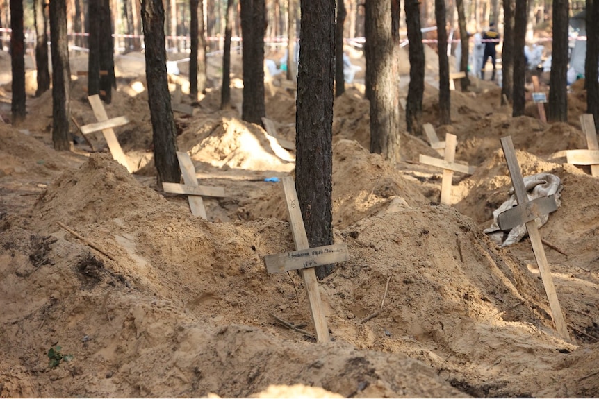 Several wooden crosses in the ground.