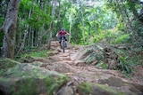 Lone mountain biker riding across rocks in the rainforest