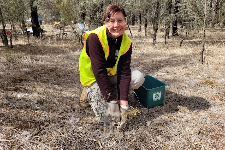 A woman in a hi-vis vest and protective glasses knees in bushland with trees around her, smiling at the camera