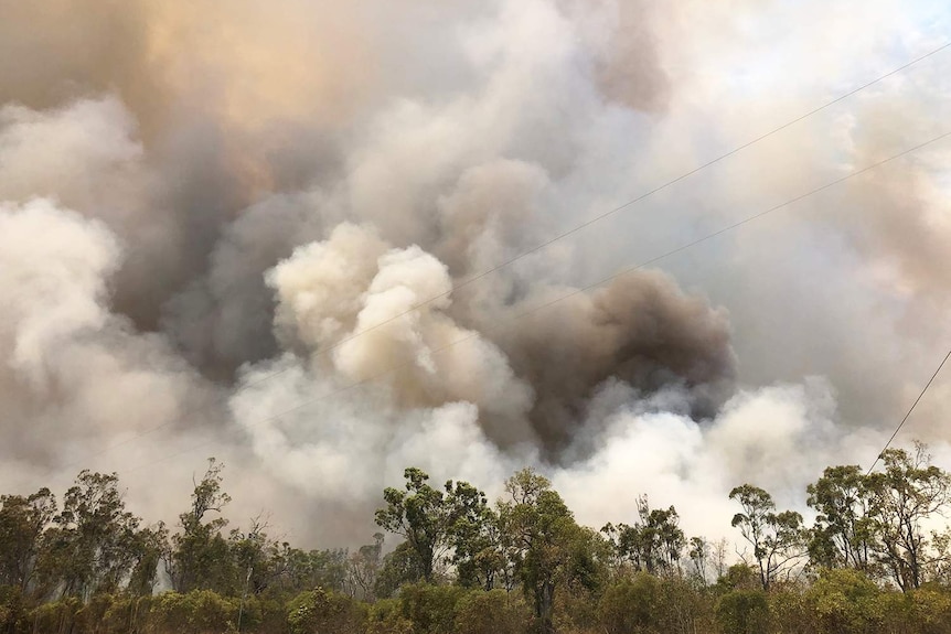 Smoke from bushfire near Lake Mary, north of Rockhampton.