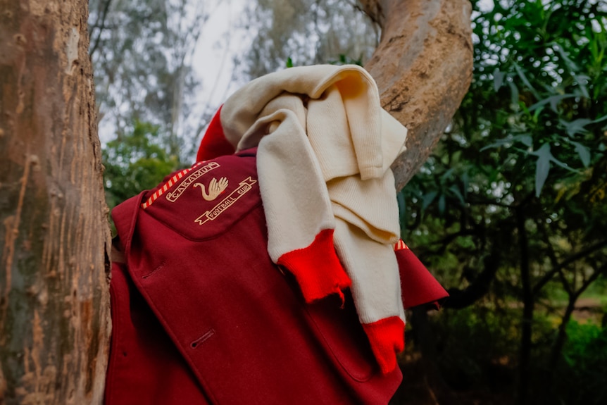 A football guernsey and jacket rest on a tree branch.