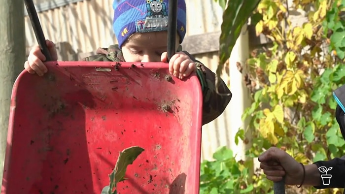 Young boy emptying a toy wheelbarrow into a garden.