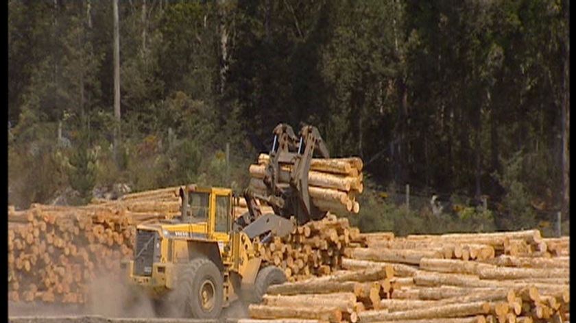 Sawmill log yard (file)
