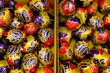 Dozens of Cadbury chocolate eggs in boxes. 