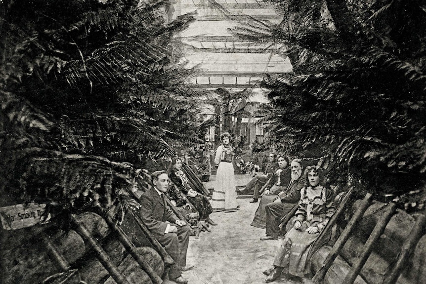 Black and white photo of Edward Cole in the fernery with his family.