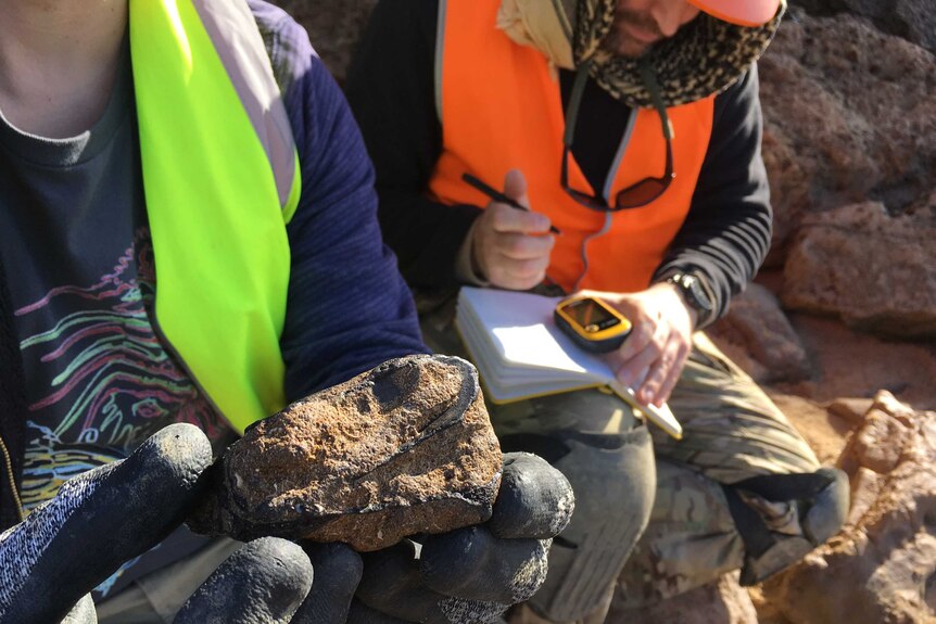 Two researchers recording fossils in a notebook