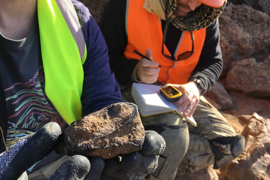 Two researchers recording fossils in a notebook