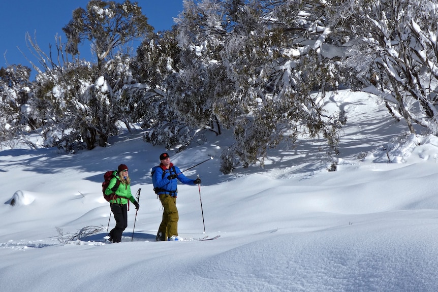 Two people ski in the snow.