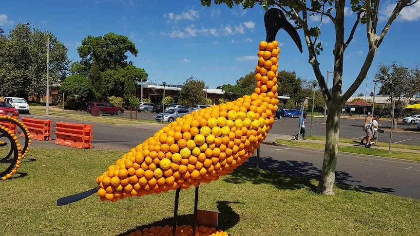 Emu orange sculpture at Griffith Spring Fest