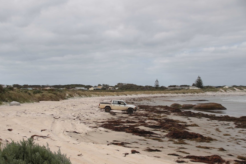 A ute on a beach with shacks just behind the dunes in the distance