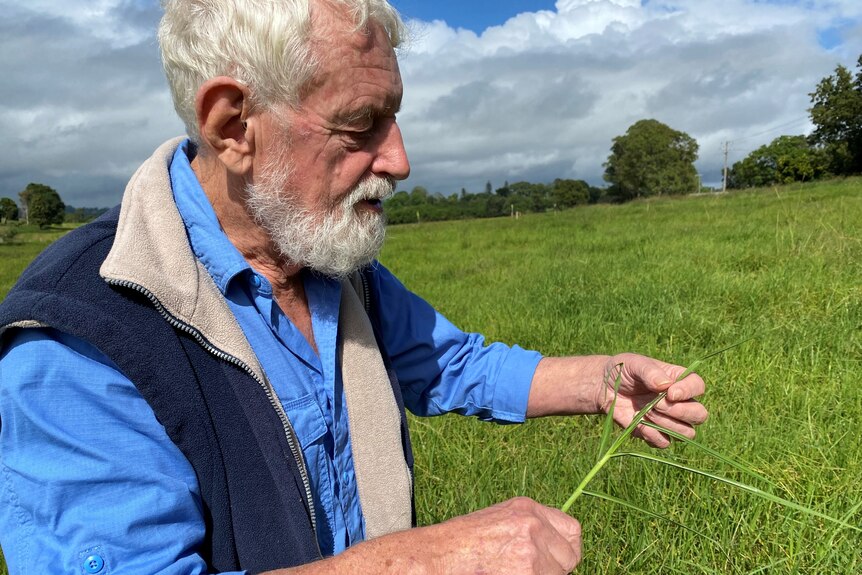 Profile of grey-haired, grey-bearded man in a grass paddock, holding grass, wearing blue jacket with white trim over blue shirt.