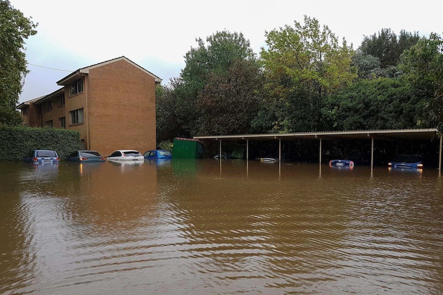 Flood water covers the bottom half of a number of cars in a car park.