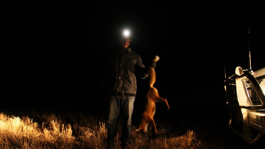 Perth sporting shooter with dead fox