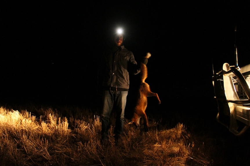 Perth sporting shooter with dead fox