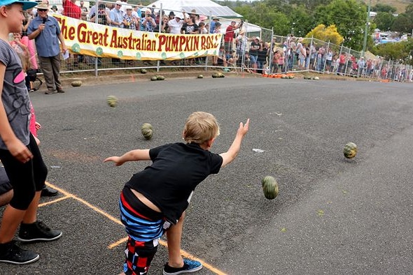 Children stand on a line and roll pumpkins along a road.