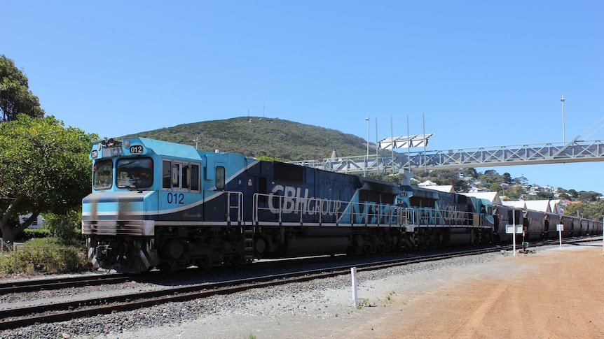 A blue freight train  carrying grain carriages sits at a station.