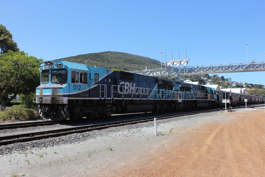 A blue freight train  carrying grain carriages sits at a station.