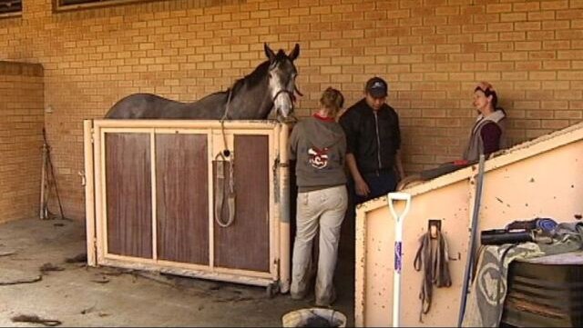 Some Hunter horse trainers will be audited in the months ahead to make sure they're paying workers correctly.