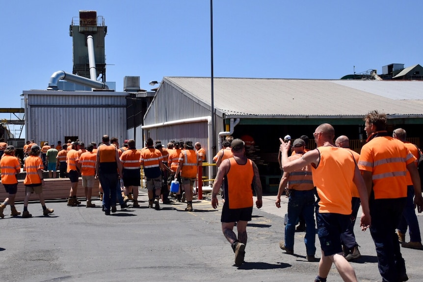 Workers at Heyfield mill