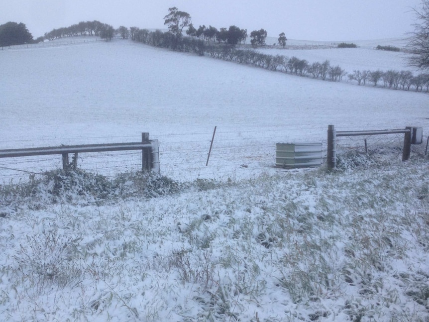 Snow at Clarke's Hill