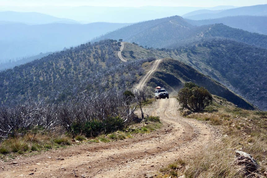 A vehicle winds its way along a dirt road on the spine of some hills in Victoria's high country.