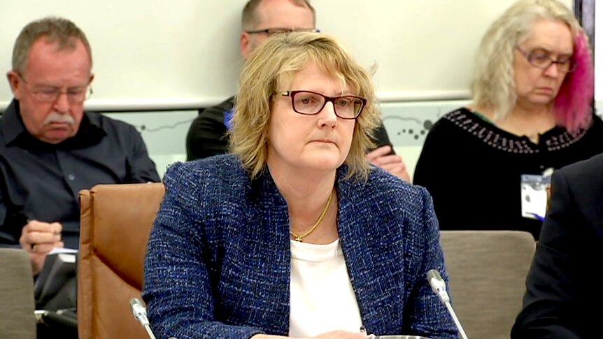 SA State Courts Administrator Julie-Anne Burgess appears before a parliamentary inquiry.