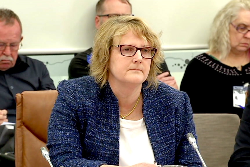 SA State Courts Administrator Julie-Anne Burgess appears before a parliamentary inquiry.
