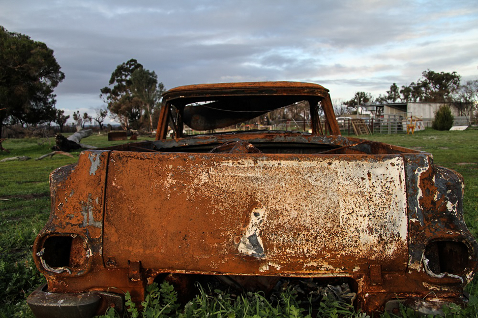 A burned-out ute with grass growing up around it photographed from behind.