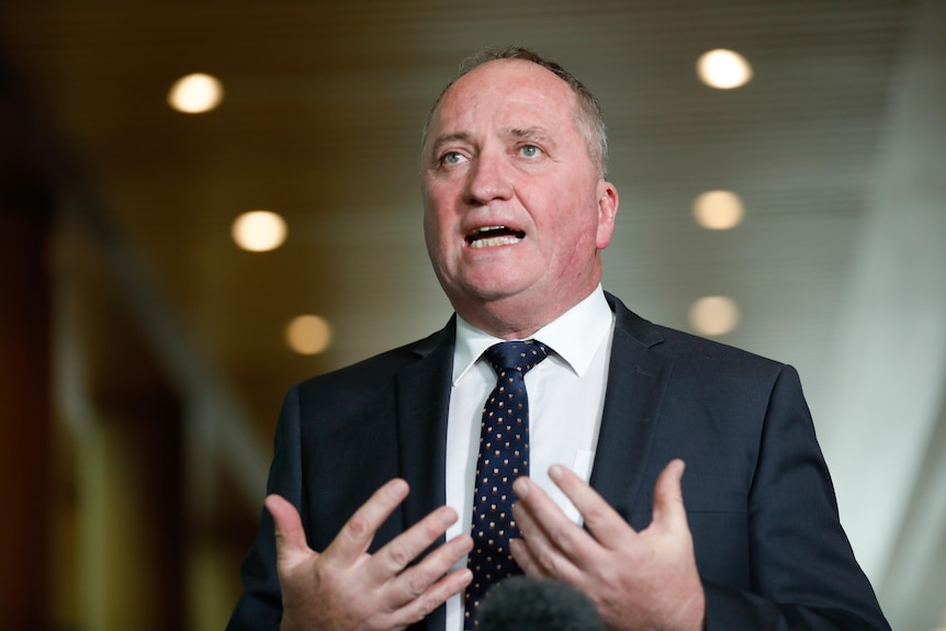 Barnaby Joyce wearing a suit and tie mid-sentence gesturing with his hands