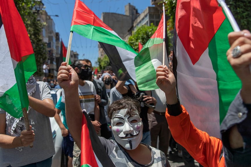 a boy wears a guy fawkes mask and holds a Palestinian flag