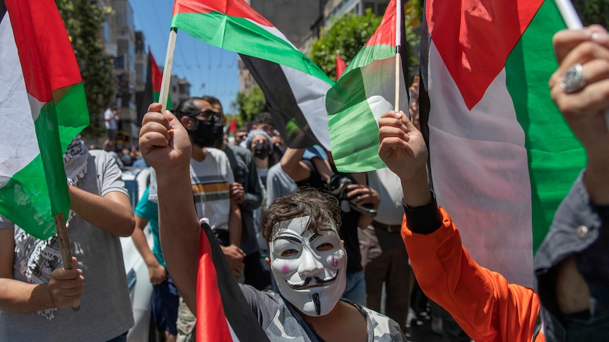 a boy wears a guy fawkes mask and holds a Palestinian flag