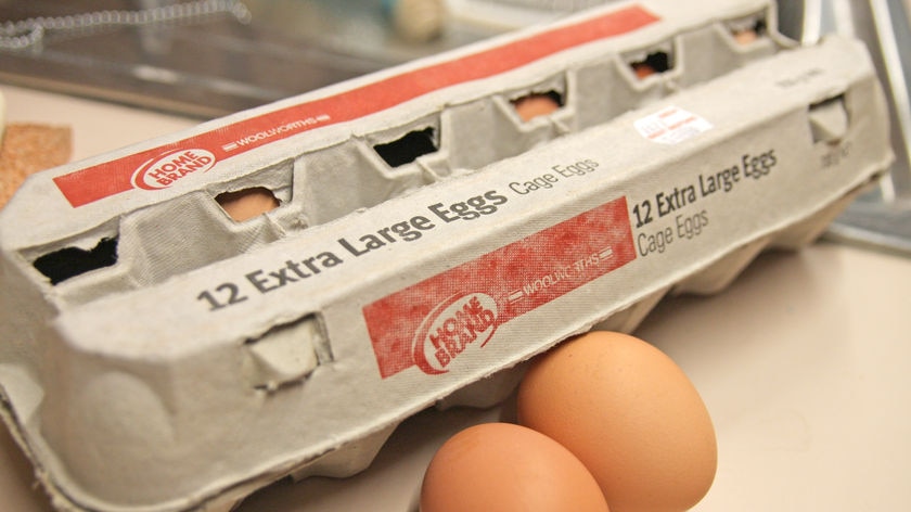 A dozen Woolworths Homebrand eggs in their carton